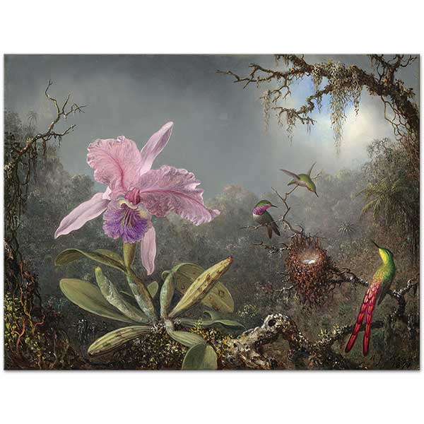 Martin Johnson Heade Cattleya Orchid And Three Hummingsbirds Art Print