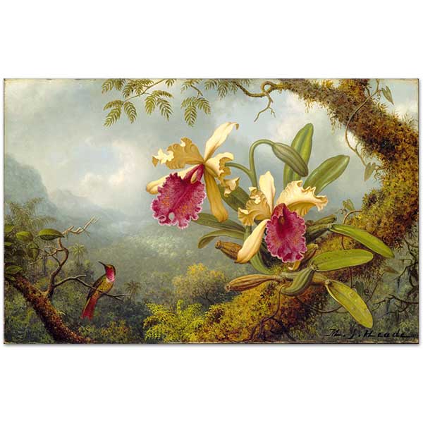 Martin Johnson Heade Orkideler ve Kalibri Kanvas Tablo