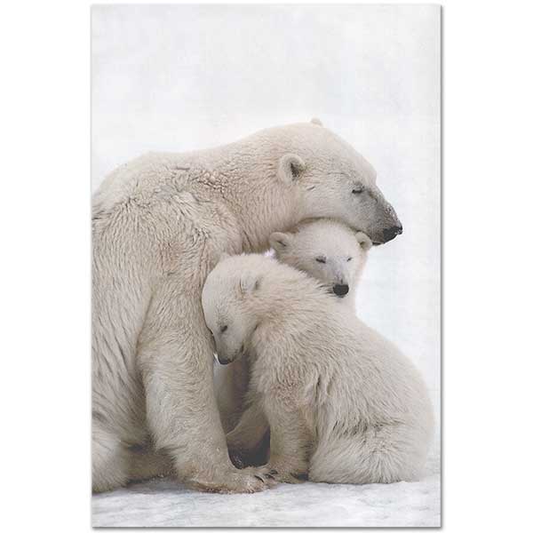 Polar Bear and Her Cubs Art Print