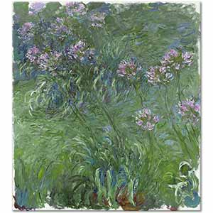 Claude Monet Aşk Çiçeği (Agapanthus) Kanvas Tablo
