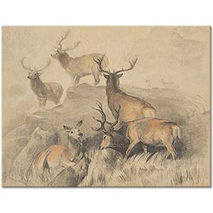 Edwin Henry Landseer Some Of The Best Harts In The Forest Art Print