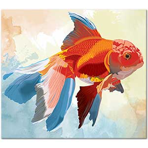 Gold Fish Composition Art Print