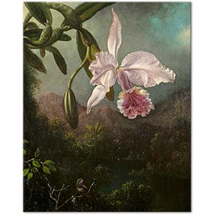 Martin Johnson Heade Orkide Çiçeği Kanvas Tablo