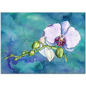 Orchid in Watercolor Art Print