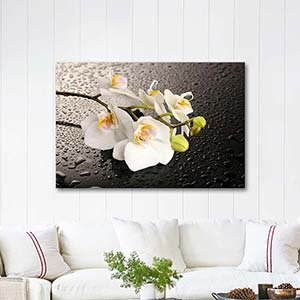 Orchids on the Table Art Print