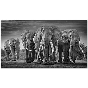 Parade Of Elephants From The Hood Art Print