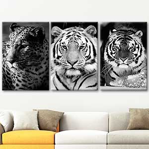 Stunning Tigers 3 Pieces Canvas Set Art Print