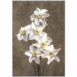 Victoria Dubourg Fantin-Latour Narcissus Art Print