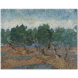 Vincent van Gogh Olive Grove Landscape Art Print