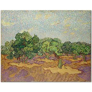 Vincent van Gogh On A Field Olive Trees Art Print