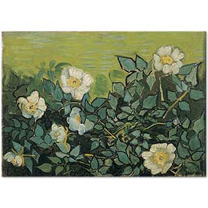 Vincent van Gogh Wild Roses Art Print