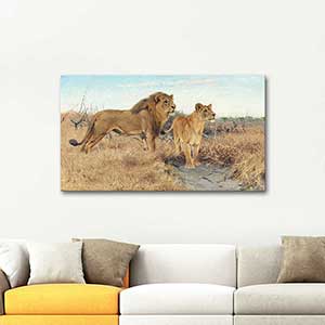 Wilhelm Kuhnert Lions on the Plains of Africa Art Print
