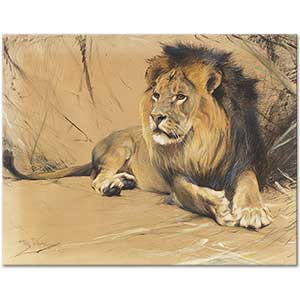 Wilhelm Kuhnert Lying Lion Art Print