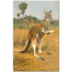 Wilhelm Kuhnert Arazide Kırmızı Kangurular Kanvas Tablo