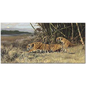 Wilhelm Kuhnert Two Stalking Tigers Art Print