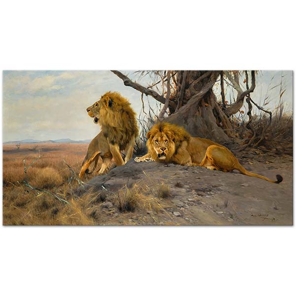 Wilhelm Kuhnert Growling Lions Art Print